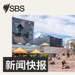 SBS 新闻快报